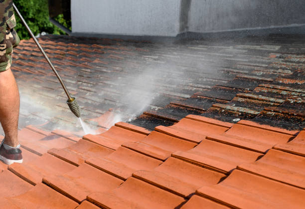 Best Local Pressure Washing Services  in Beattystown, NJ